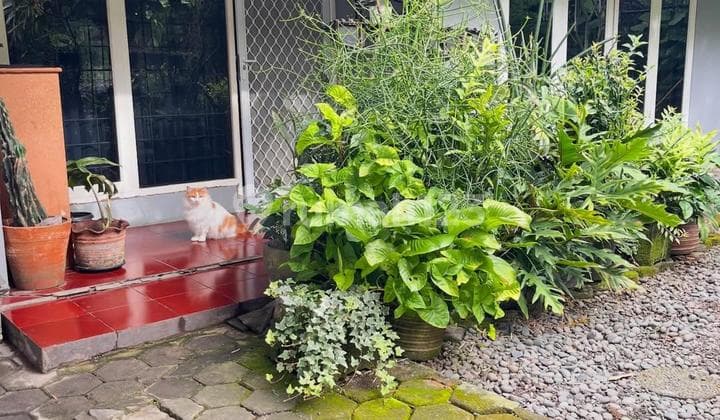 Rumah Asri Siap Huni Sayap Setiabudi Bandung Utara LT 400 M²
