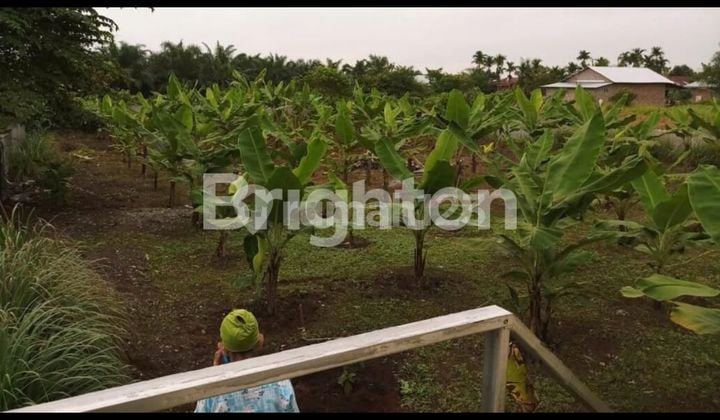 TANAH KAVLING MASUK GANG SELUAS 133M2 DI SEI MENCIRIM, SUNGGAL