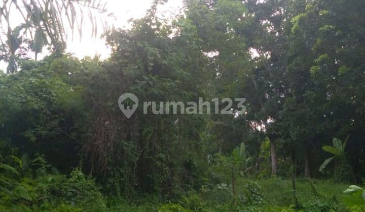 Tanah Seluas 180m2 Di Batang Kuis, Deli Serdang