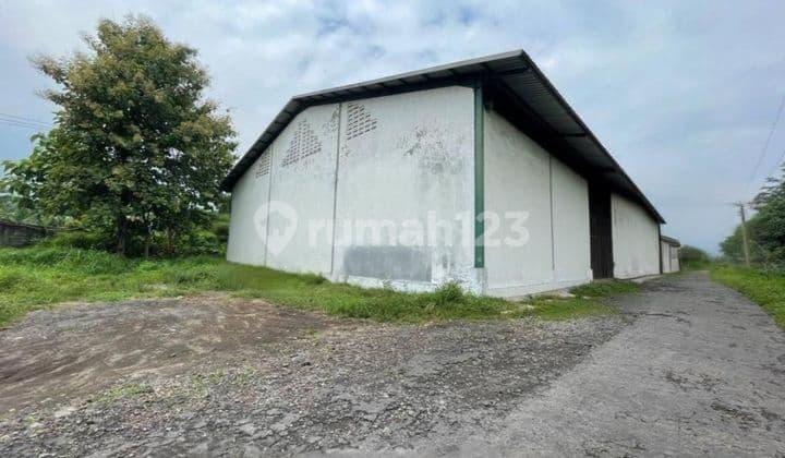 For Sale, Strategic Ngoro Warehouse Ready to Use