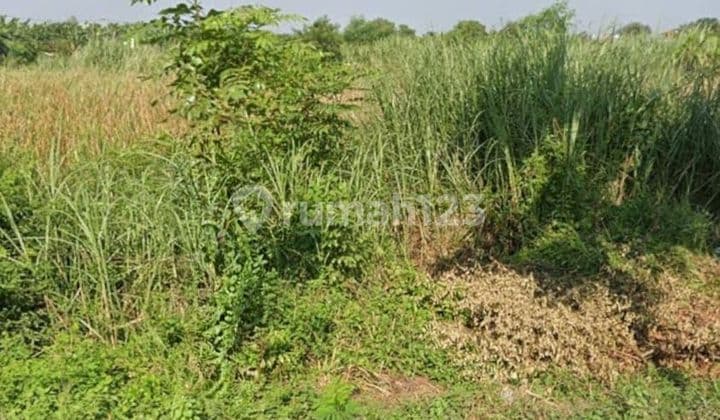 Dijual Tanah Kavling Lingkar Timur Sidoarjo Strategis Siap Pakai