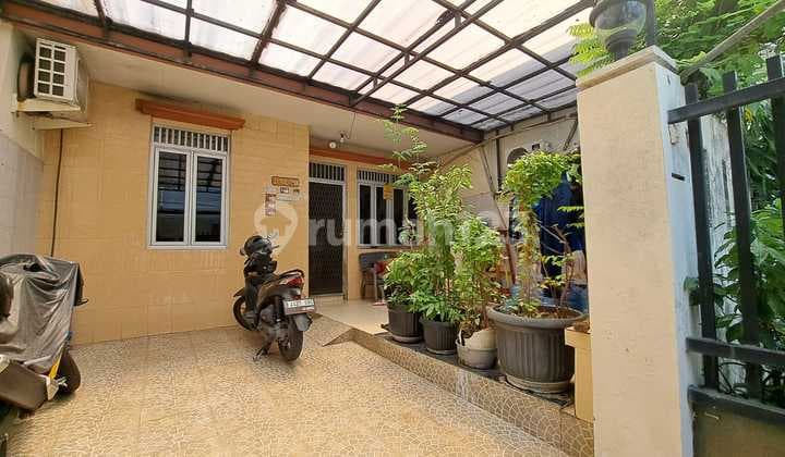 Jual Cepat Rumah Kelapa Hibrida Kelapa Gading Standar Perlu Renov Harga 2man Nego Sampai Deal