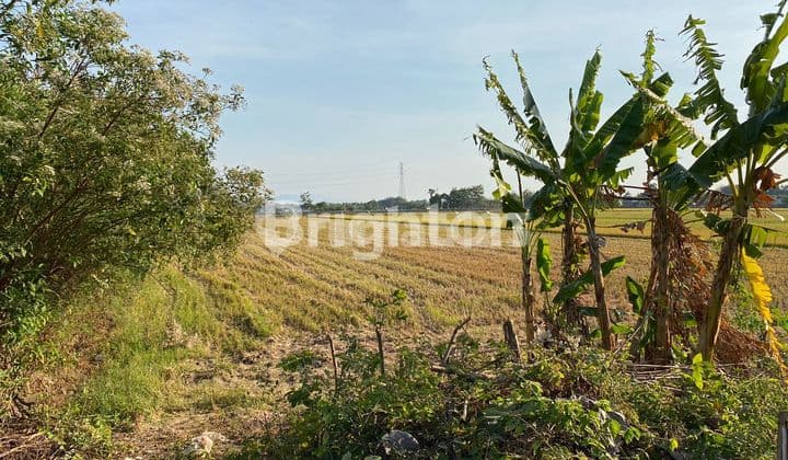 TANAH KERING JALAN RAYA BAKI PAKIS SUKOHARJO
