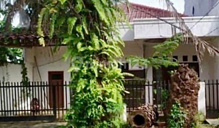 Rumah Hitung Tanah Di Cempaka Putih, Dijual Cepat