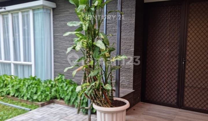 Disewakan Rumah Area Cilandak Barat Modern Look Dekat Citos