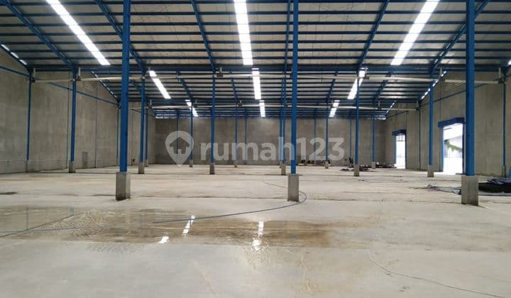 Kapok Warehouse 3500 M2 Flood-Free Neat Ready to Use