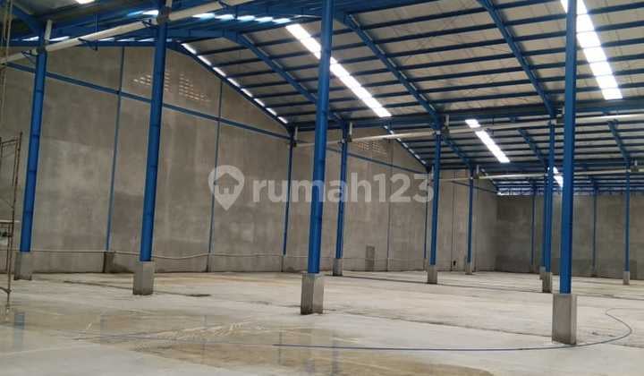 Gudang baru Kapuk luas 3500 m masuk kontainer bebas banjir