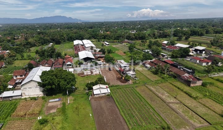 Tanah Jogja Utara Pemda Sleman - Cocok Untuk Hunian Pinggir Jalan