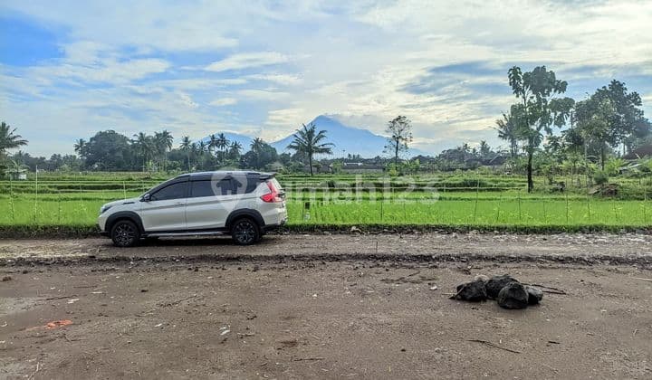 Tanah Jogja View Sawah - Utara Pemda Sleman Jl Magelang Km 8