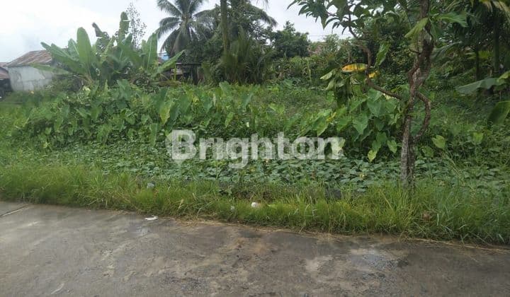 2 BIDANG TANAH GANDENG (SALING MEMBELAKANGI)...KEDUANYA MENGHADAP JALAN