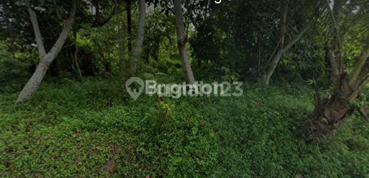 TANAH DI DAERAH WISATA PAKEM