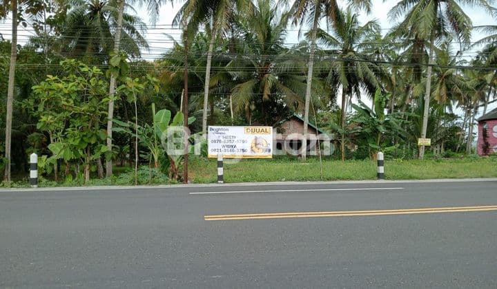 TANAH DI SENTOLO ARAH NYIA