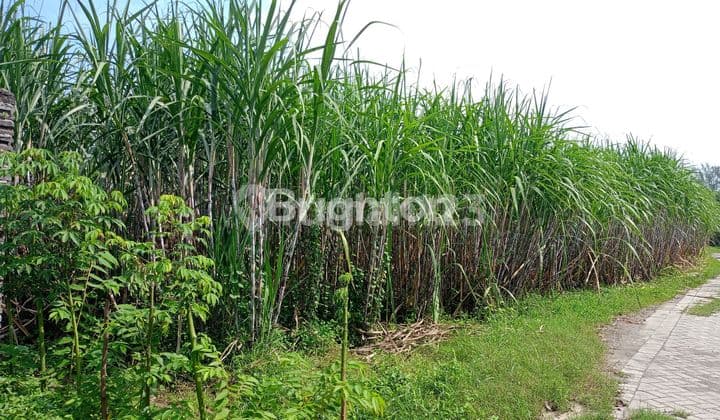 DIJUAL TANAH DATAR DI KEDIRI