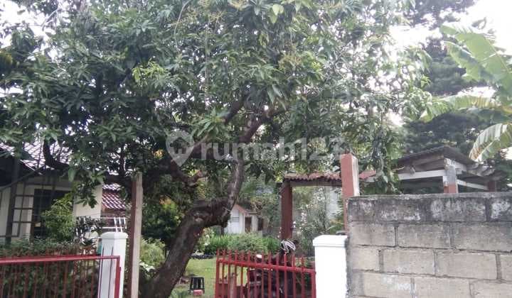 Dijual Rumah 2 Lantai dengan Kebun Luas – Kembangan Selatan, Jakarta Barat