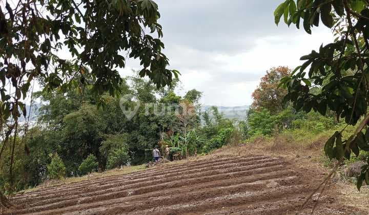Tanah Tebing Pinggir Danau Tondano Cocok Bangun Villa