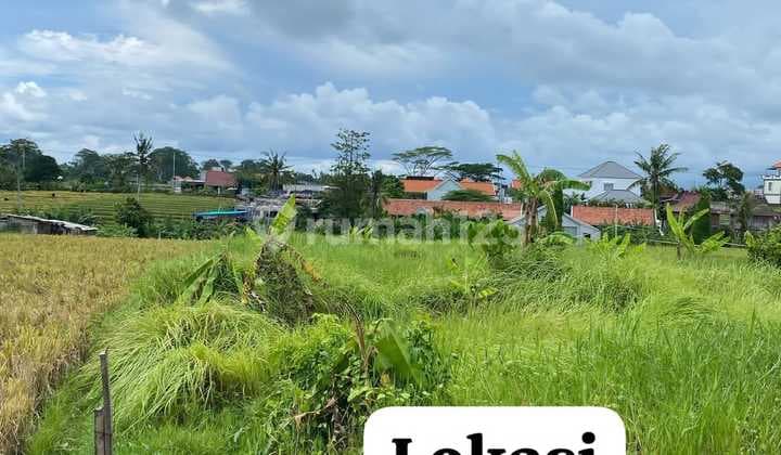 Di Kontrakan Tanah Dekat Pantai Lokasi Pantai 5 Prerenan