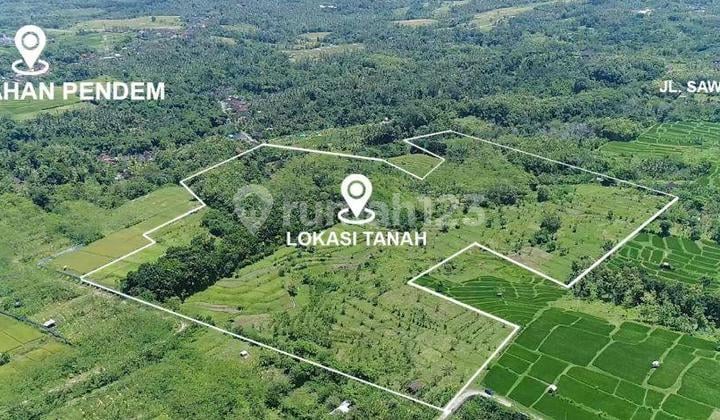 Dijual tanah 10 hektar 85 are, aspek perumahan, sertifikat 25, lokasi Jembrana