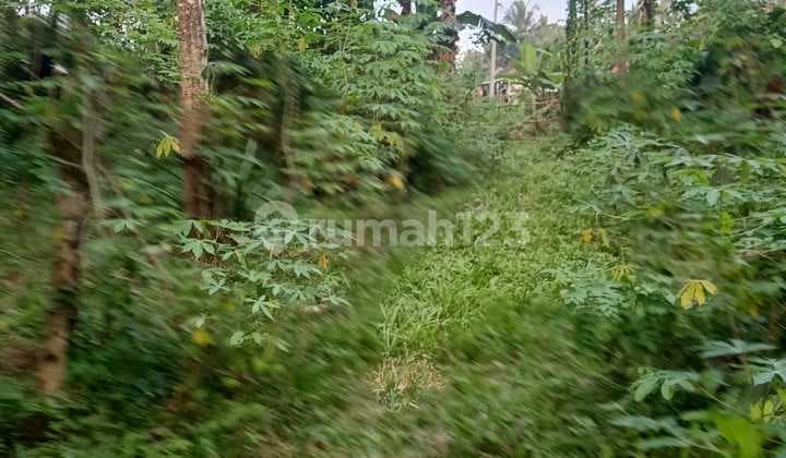 Di jual BUC Lahan tanah di Banjar Bunut ,bantas Tabanan