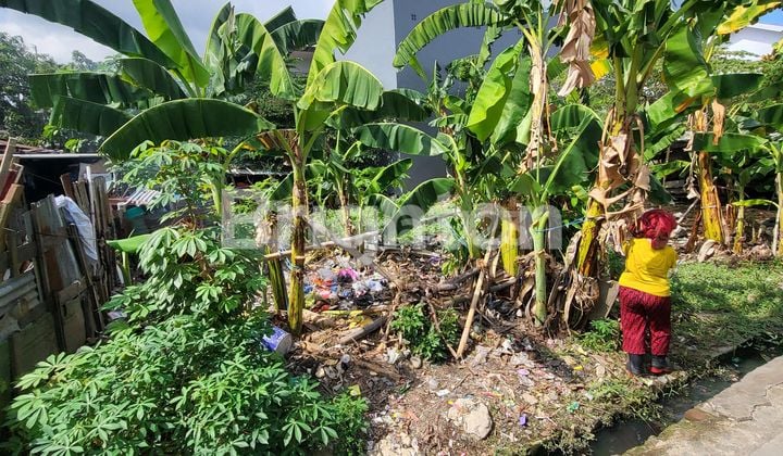 Land In The City Center