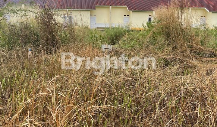 Tanah Kav Di Pattallasang