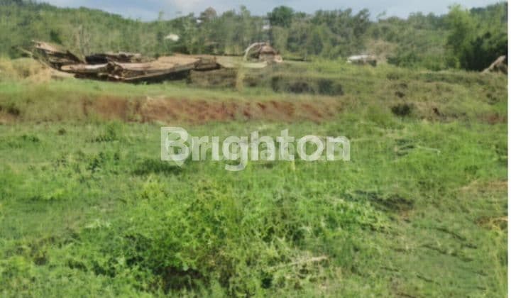 DIJUAL MURAH TANAH LUAS DI KABUPATEN GOWA MAKASAR SULAWESI SELATAN