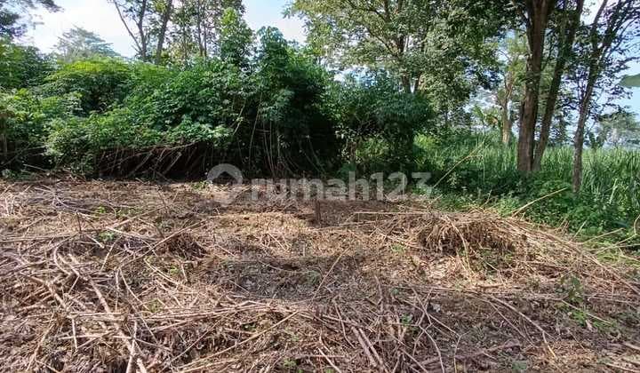 Tanah di Kota Malang