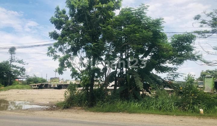 Dijual Tanah Palimanan Pantura.cirebon Depan Indocement