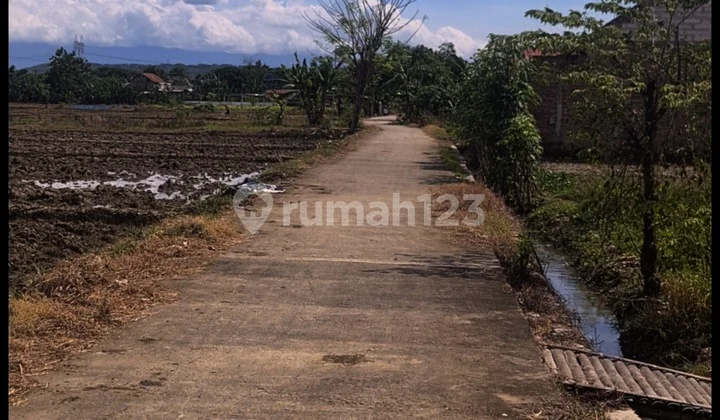 Dijual Cepat Tanah Sawah Karangwareng Sindanglaut Cirebon