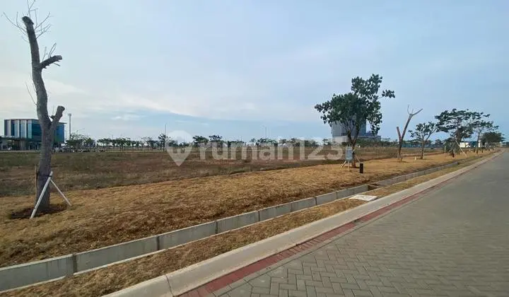Commercial Lot Joint PIK2 Wallstreet 900m2 North Facing