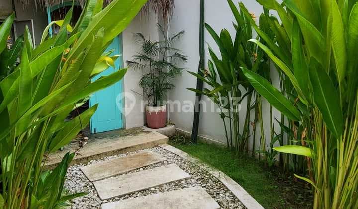 Disewakan Villa Bernuansa Tropical Berlokasi Strategis Pererenan Canggu