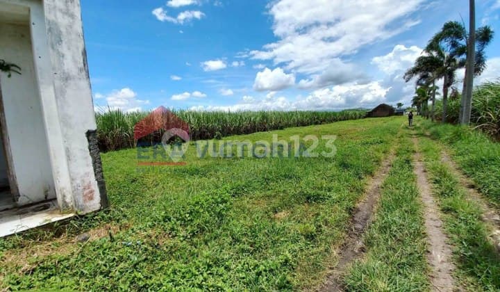 Dijual Tanah Kavling Area Pakisaji Lokasi Strategis Pinggir Jalan