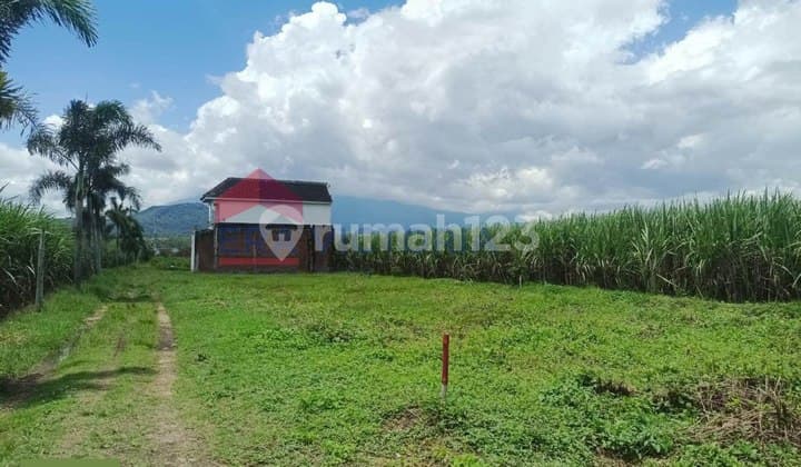 Dijual Tanah Kavling Area Pakisaji