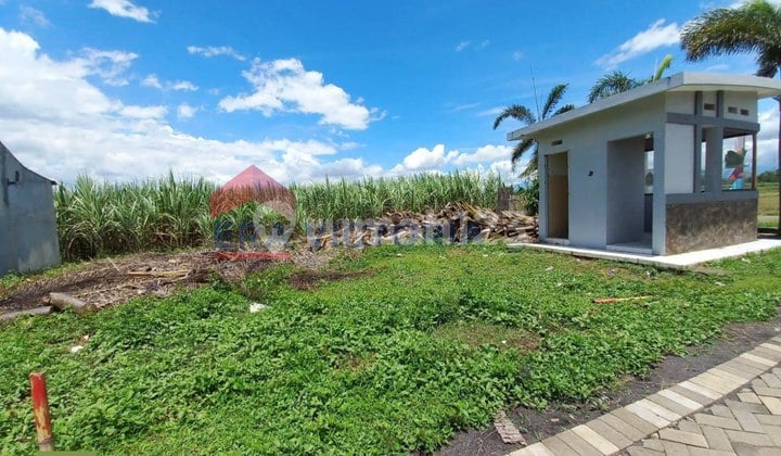 Dijual Tanah Kavling Area Pakisaji Lokasi Strategis