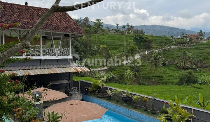 Termurah !! Rumah Villa Cantik Dan Luas