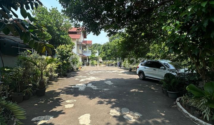Turun Harga Terbaik dan Termurah Rumah Luas Dkt Kampus Ui Pancasila Gunadarma Strategis