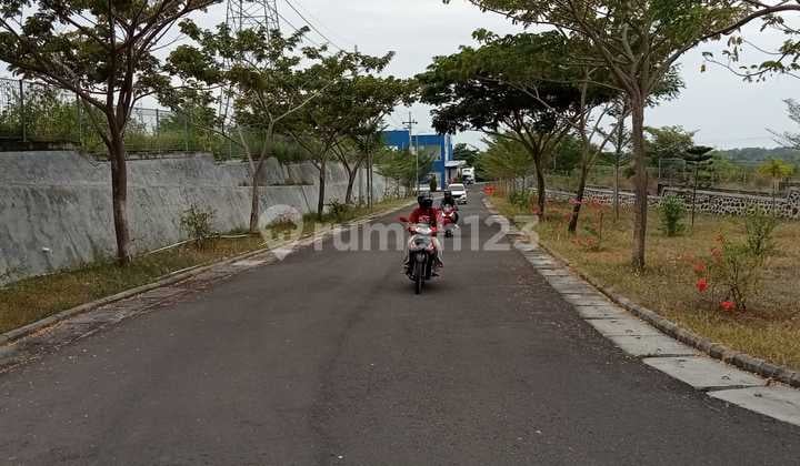 Tanah Kapongan - Situbondo Lokasi Dekat Pintu Toll, bisa Beli Separuh