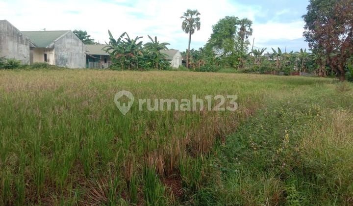 Jual Tanah Di Komp Royal Spring Dkt Kolam Renang Jual Tanah Di Komp Royal Spring Dkt Kolam Renang