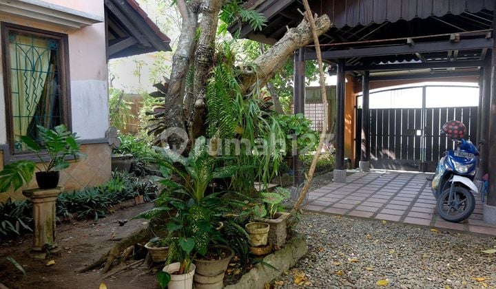 Dijual Rumah Siap Huni Nyaman Dan Asri Semi Furnish, Lombok Barat