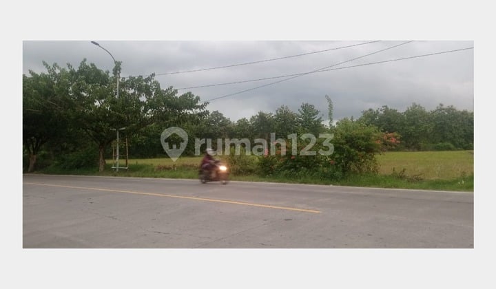 Dijual Tanah u. investasi Strategis Jl. Raya Padangan-Bojonegoro