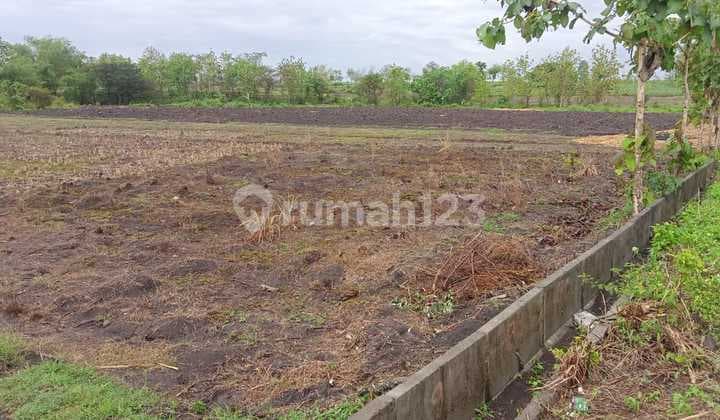 DIJUAL Tanah Strategis di Ds Katur, Gayam,Bojonegoro - Jawa Timur