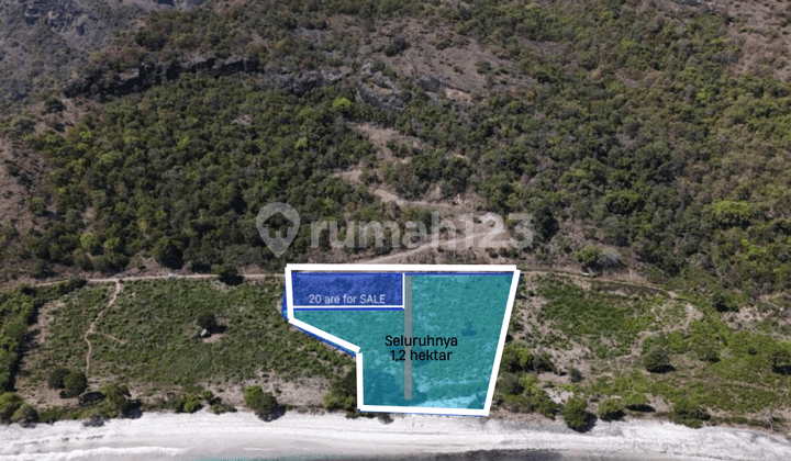For Sale Land Phoenix Beach, Scar Reef, Jelenga, Jereweh, Sumbawa