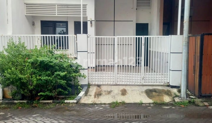 Rent Ready-to-Occupy House in Wiguna Flood-Free