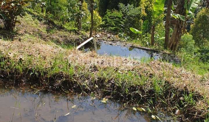 Dijual Tanah daerah Munduk