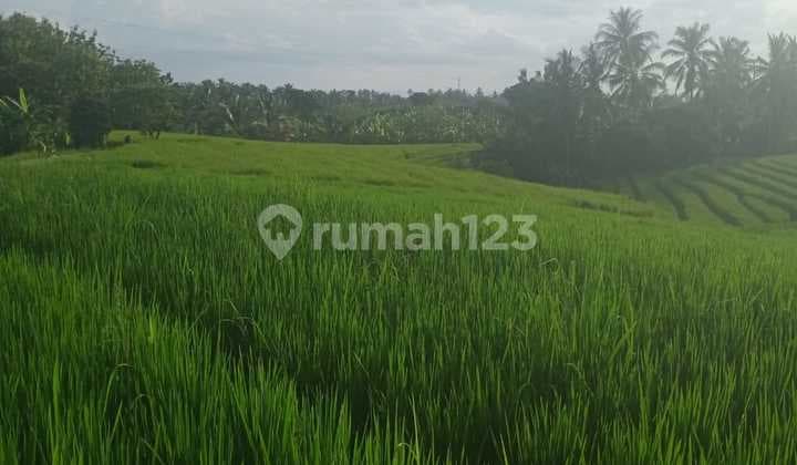 Land for sale in Canggu area, good view