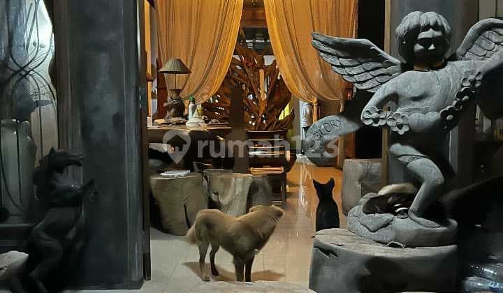 Rumah di sewakan daerah Kerobokan