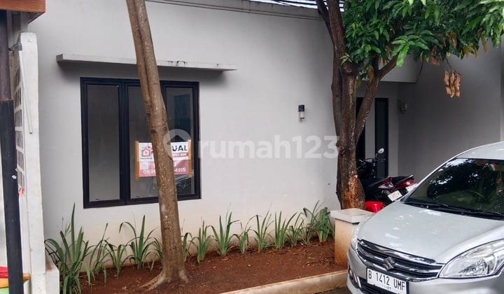 Cluster Ready Stock Shm Dp 0