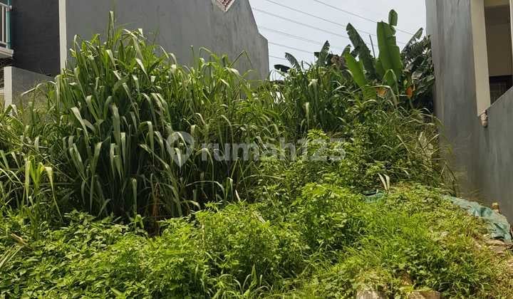 Kavling di jl Dukuh Dukuh, Kec. Kramat jati, Kota Jakarta Timur, Daerah Khusus Ibukota Jakarta