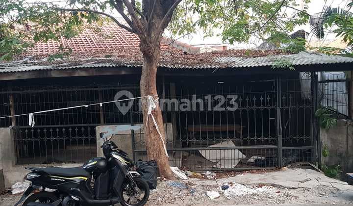 Dijual Rumah Tua 304m2 Wijaya Kusuma Jelambar, Dekat Tol, Truk Bisa Masuk S133