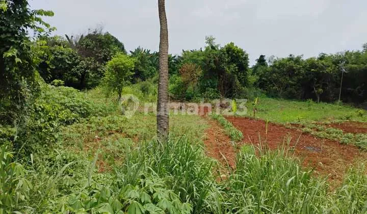 Kavling Kamal Raya Kel Tegal Alur Kec Kalideres Jakbar S231 Kavling Kamal Raya Kel Tegal Alur Kec Kalideres Jakbar S231