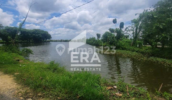 TANAH MURAH DIJUAL LAMONGAN KOTA